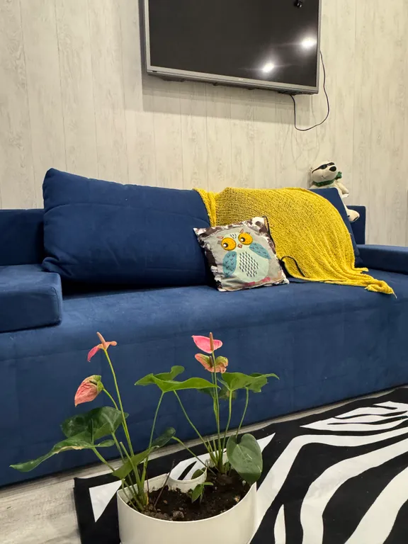 Студия на море 800 ступенек, ласточкины гнезда