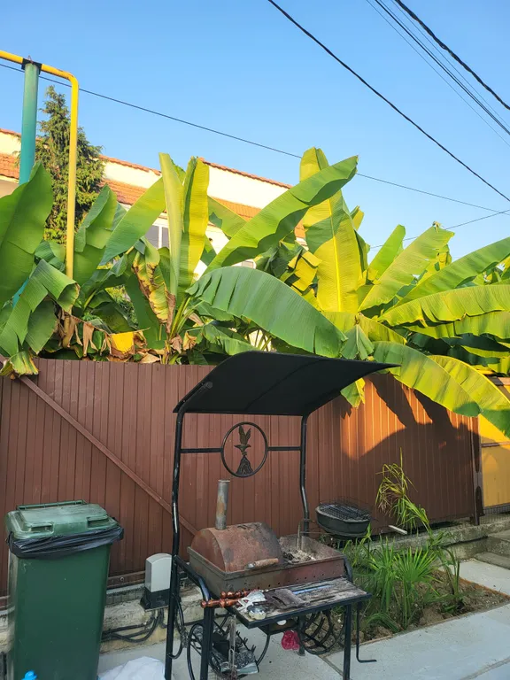 Коттедж 1-комнатный Дом — Адлер