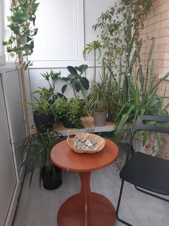 Современная и уютная квартира в новом доме