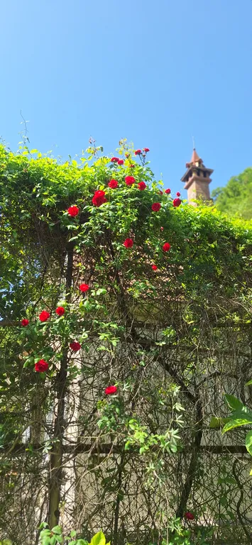 Коттедж Коттедж Quest hause Ahan — Гагра