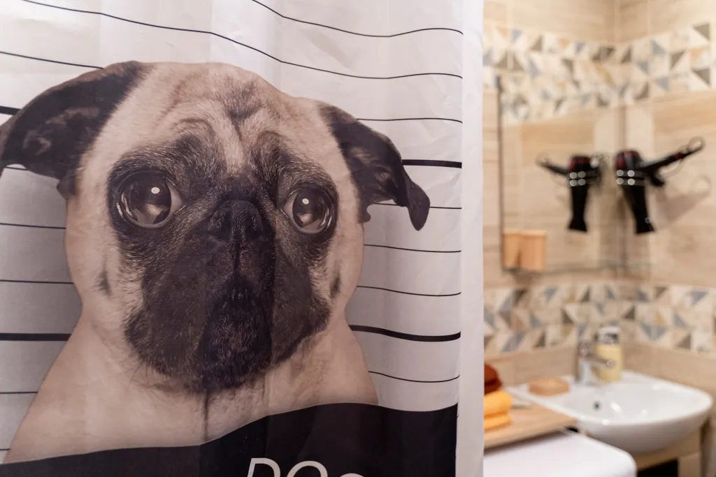 Апартаменты у есенинских полей