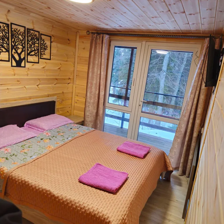 Барнхаус в хвойном лесу