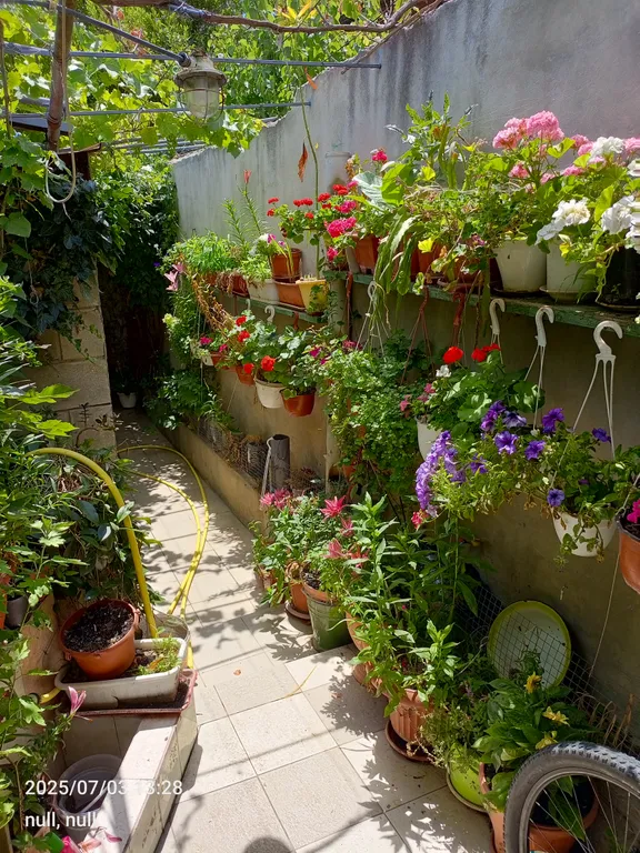 Уютный домик