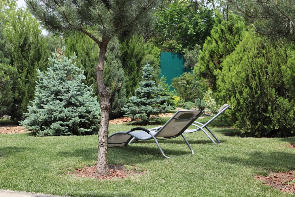 Загородный дом-шале "Pinebrook", аренда, у реки Дон. Сезонный бассейн.