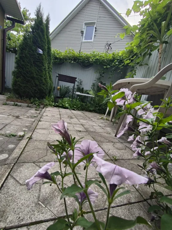 Уютная студия в центре в трех кварталах от моря