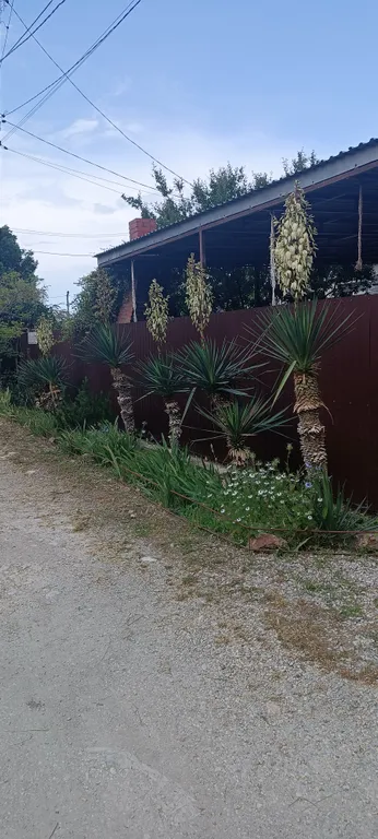 Коттедж Домик на море — Геленджик