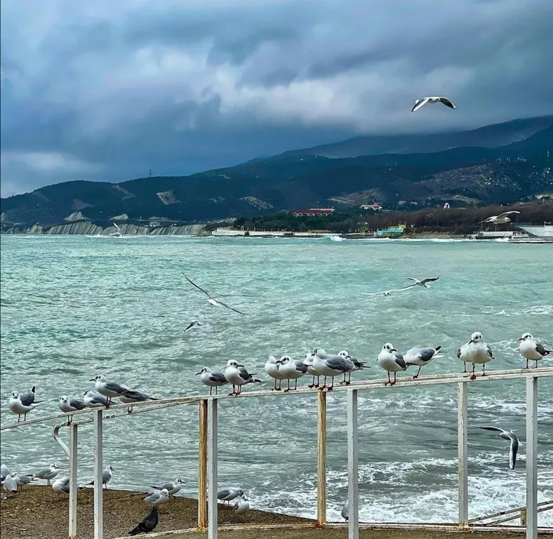 Уютная квартира с лучшим видом в городе