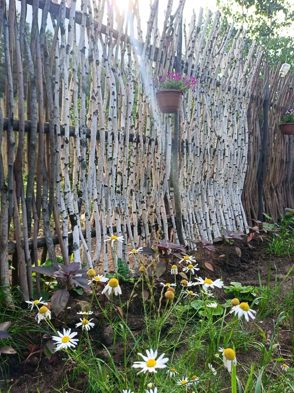 Темный домик на опушке леса