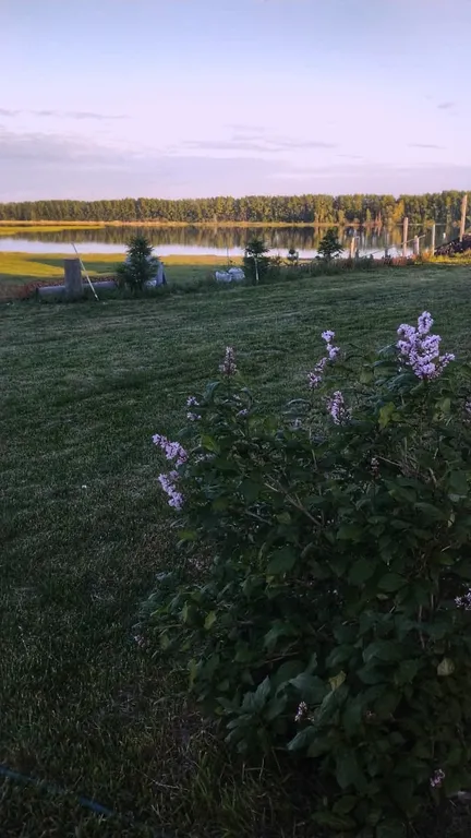 Дом на озере Старица