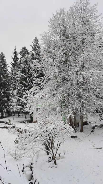 Коттедж Дом в лесу с баней и спортзалом — Горышкино