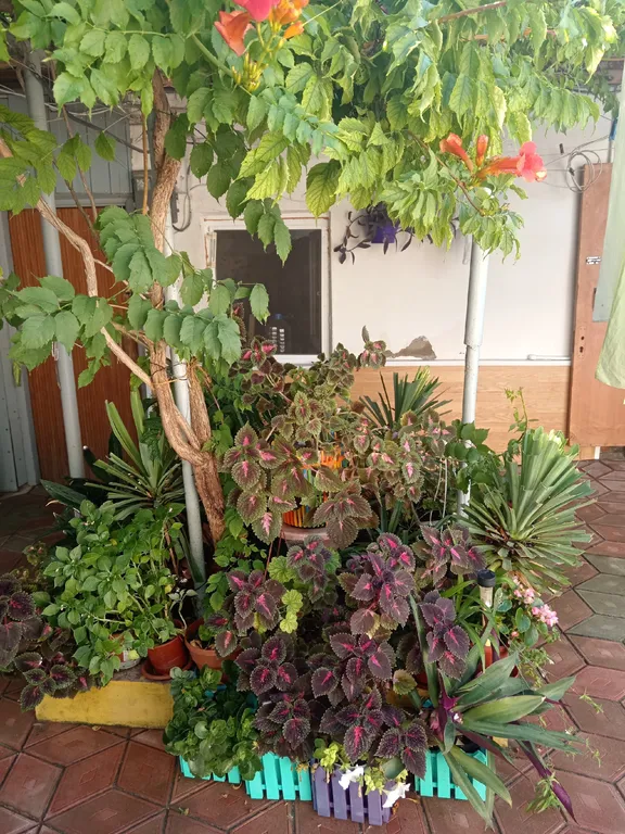 Апартаменты в центре у моря