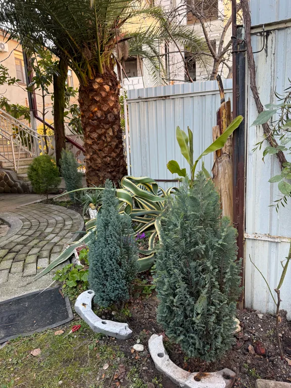 Дом под ключ в самом лучшем районе Сухума