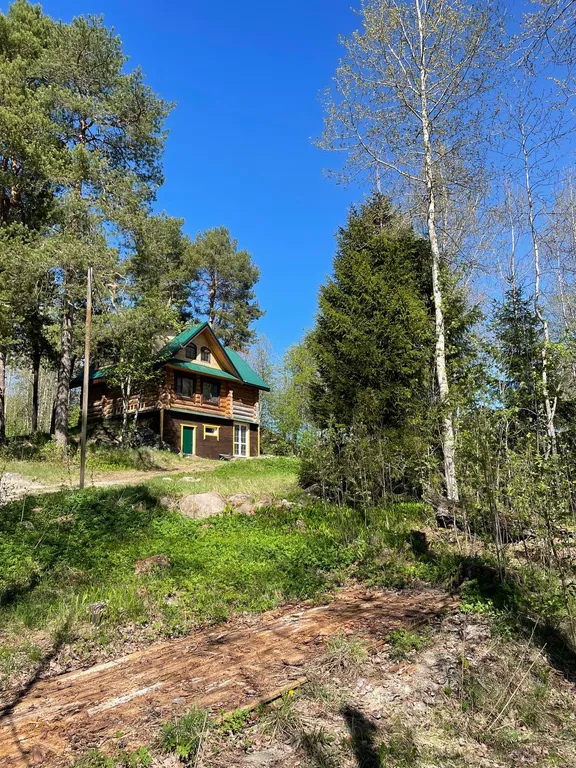 Дом в лесу среди сосен