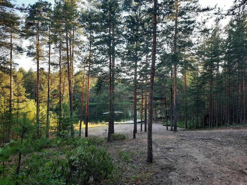 Дом с камином