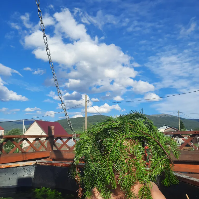 Коттедж Дом-шалаш в русском стиле — Кытлым