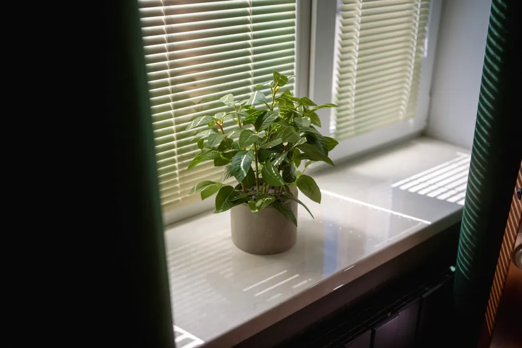 Уникальная квартира в центре города