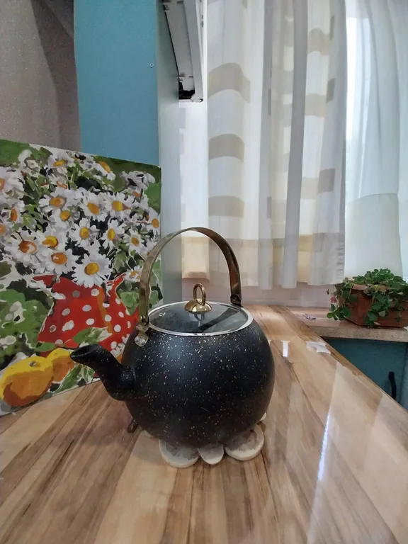 Уютный апартамент в центре города