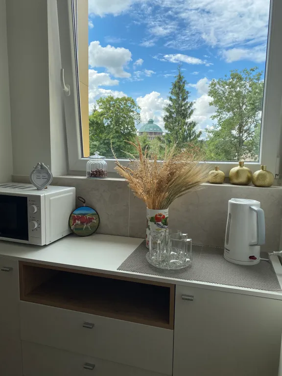 Квартира Квартира Стильный апартамент между морем и озером — Светлогорск