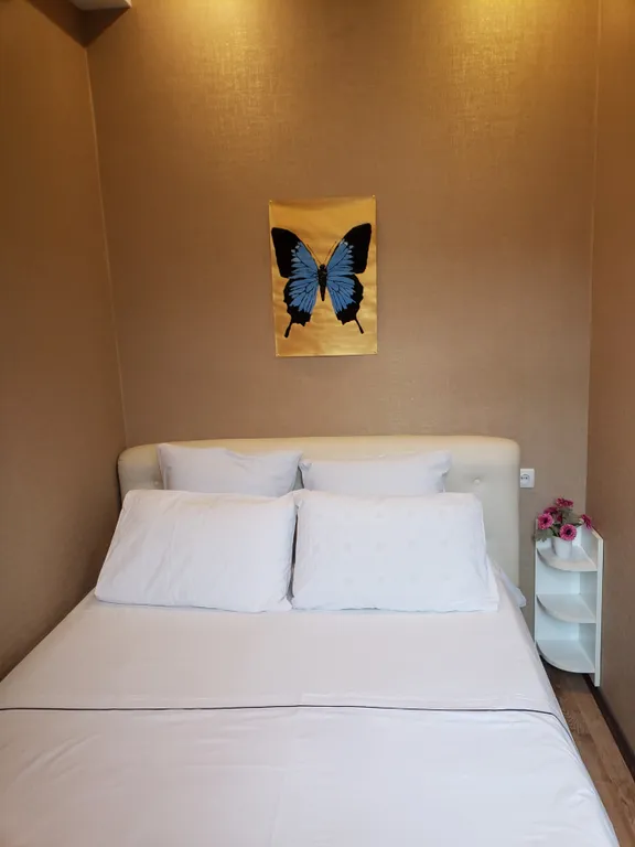 Квартира у проспекта Руставели