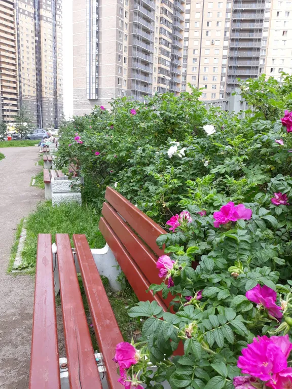 Видовая студия Выше Радуги