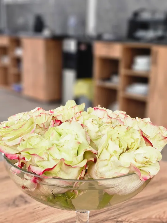 Уютные гостевые домики Колос