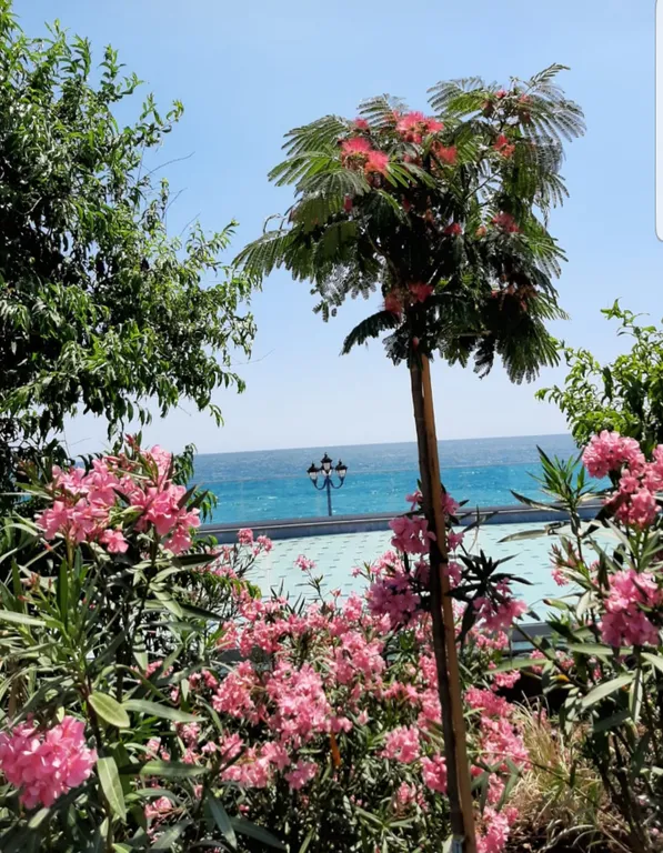 Студия с видом на море