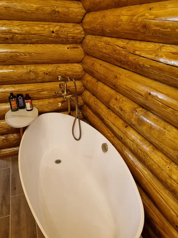 Дом на Алтае