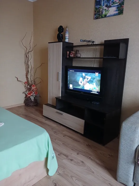 Апартамент с видом на реку