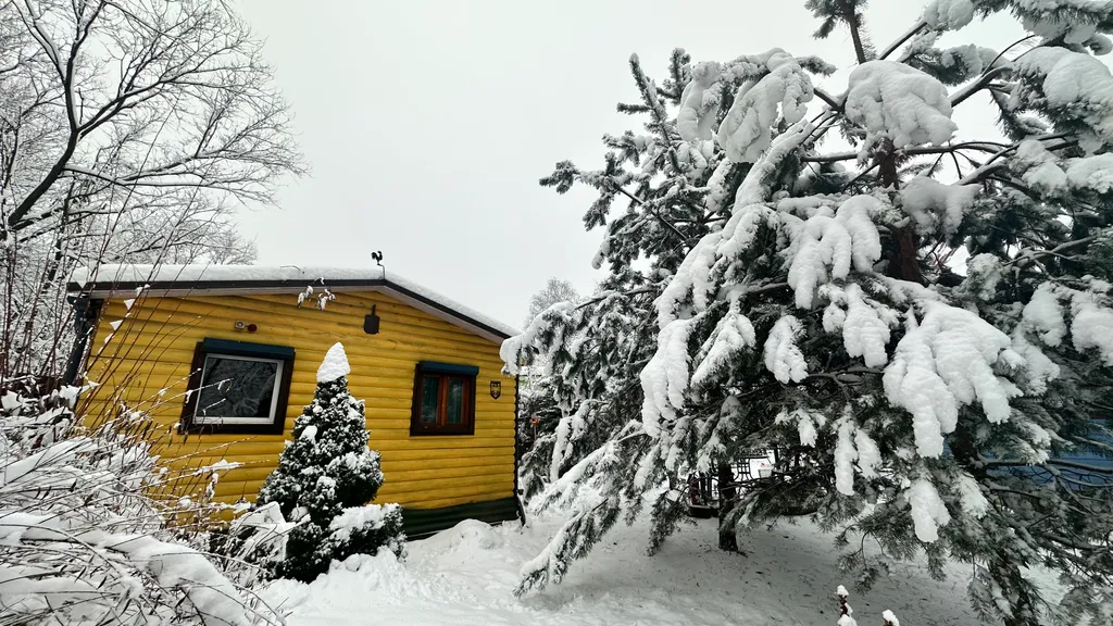 Коттедж Коттедж Курортное шале в писательском Переделкино — Москва