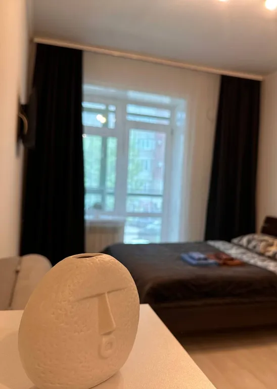 Уютная студия в центре города