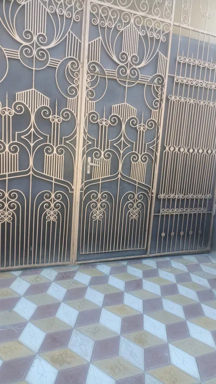 Частный дом с крытым двором и садом