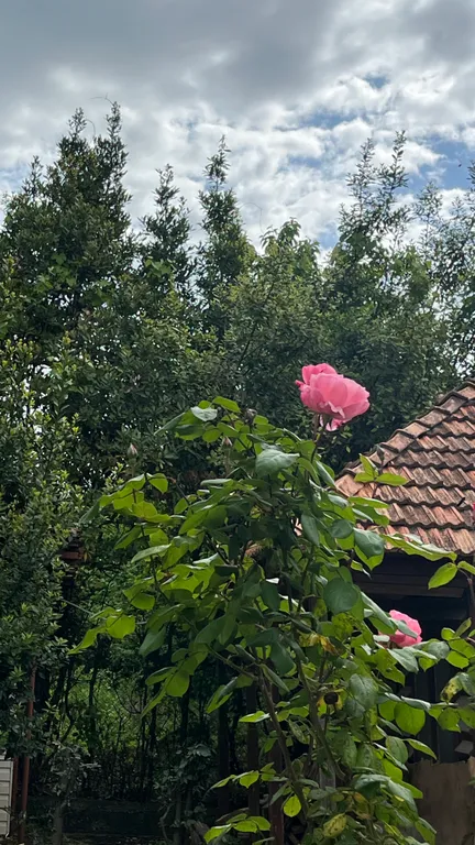 Номера с видом на море и горы