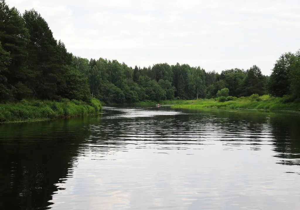 Люкс с камином рядом с рекой Волга в лесу