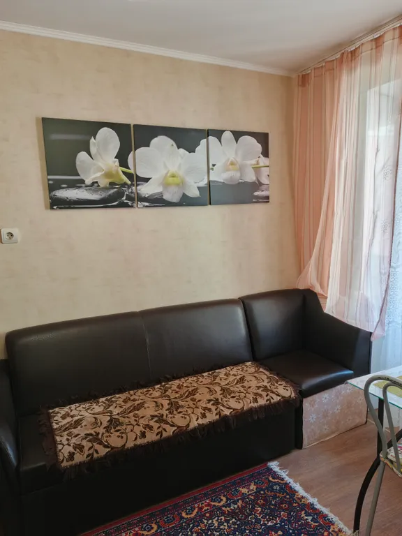 Уютная однокомнатная квартира на Завеличье