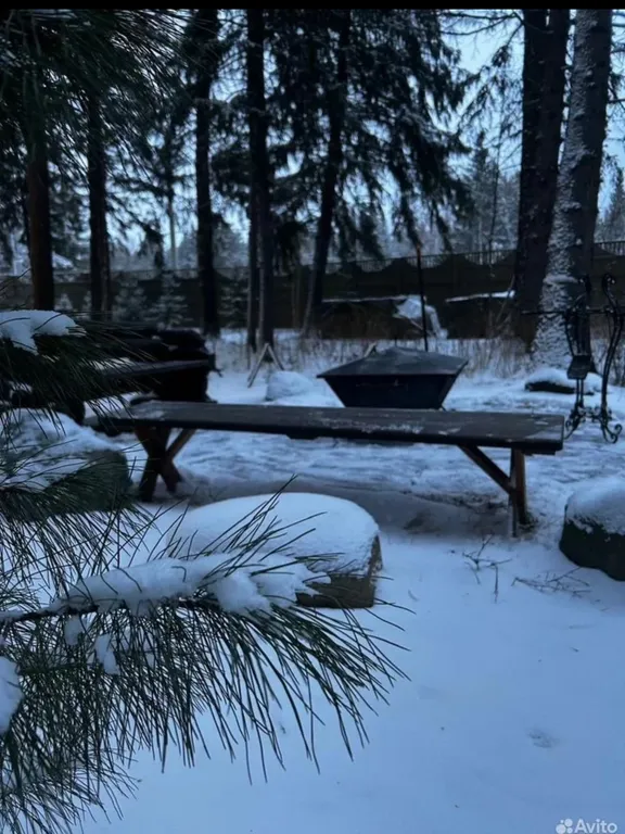 Коттедж в деревнем хвойном лесу