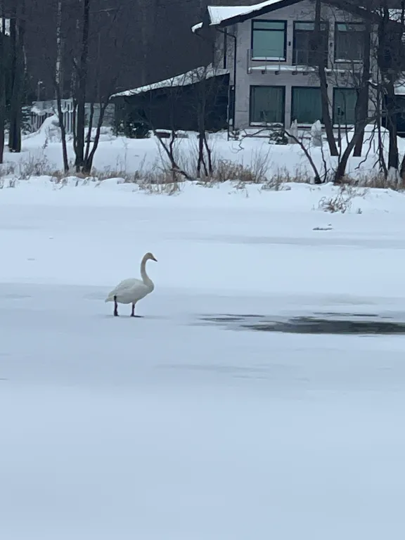 Уютный уголок у Ладожских берегов