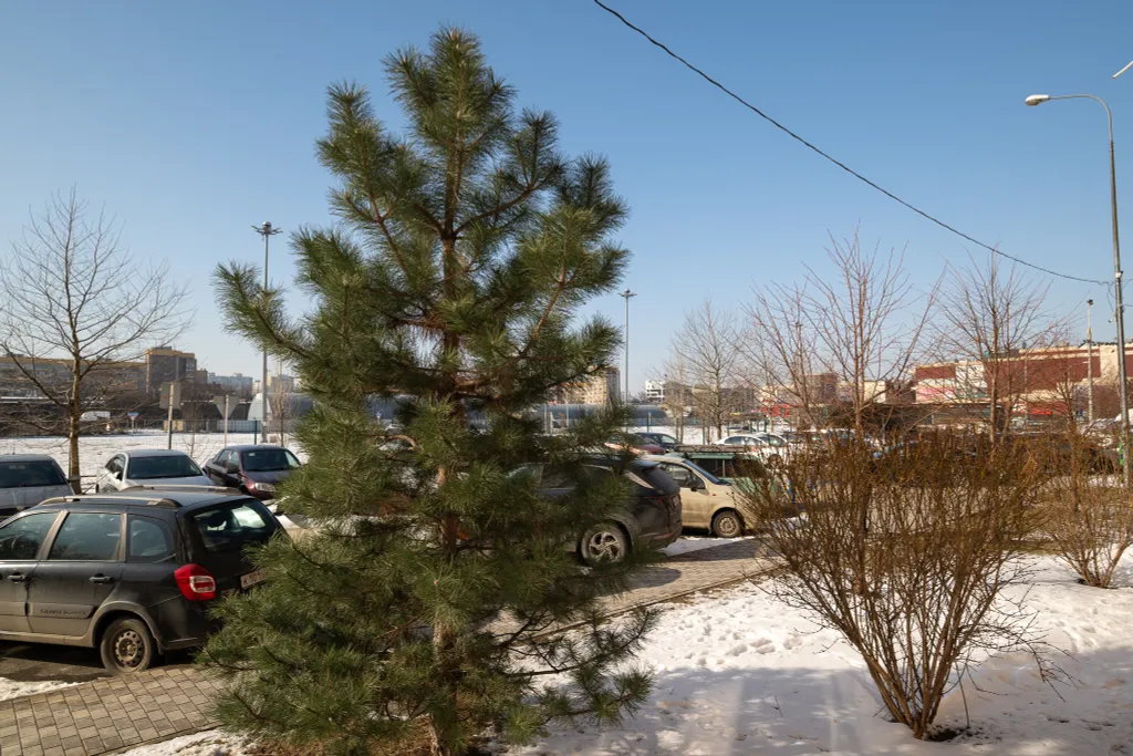 Квартира Уютная квартира возле Красной площади — Краснодар