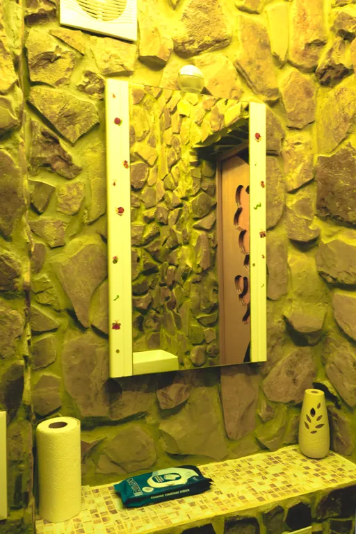 Дом Ленивый Дельфин