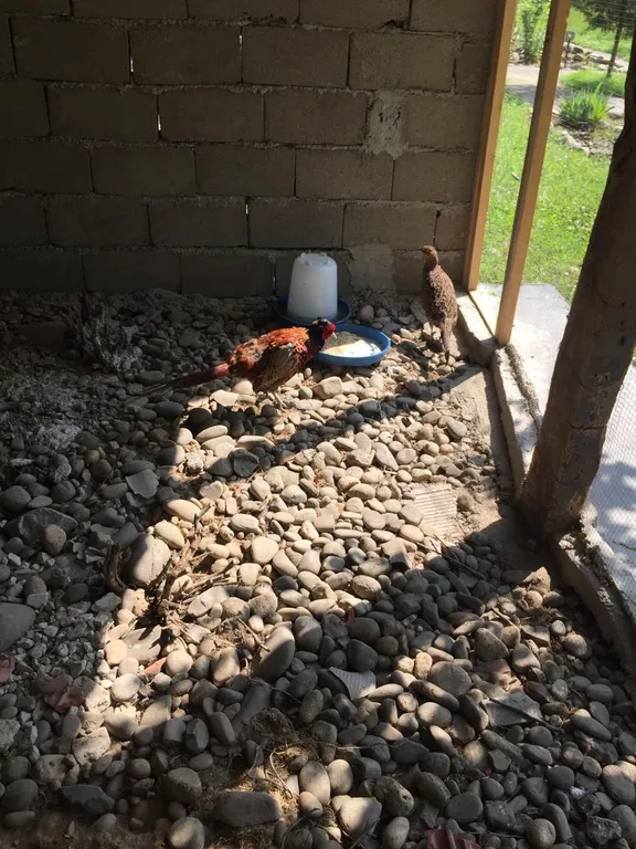 Уютная комната в гостевом доме