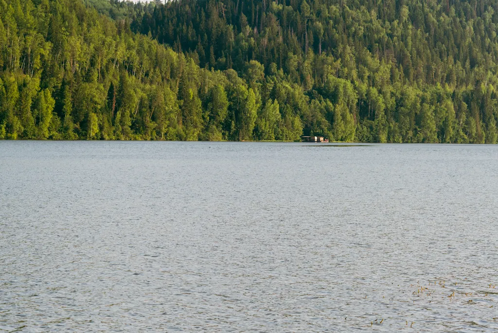 Шале посреди молодого сосново-березового леса