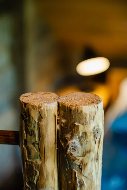 Дом с деревом