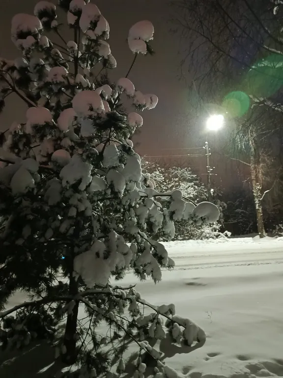 Уютная и душевная студия в центре