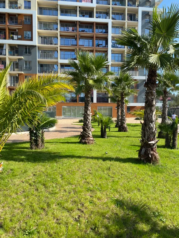 Уютная квартира у моря