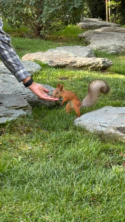 Квартира у парка Галицкого