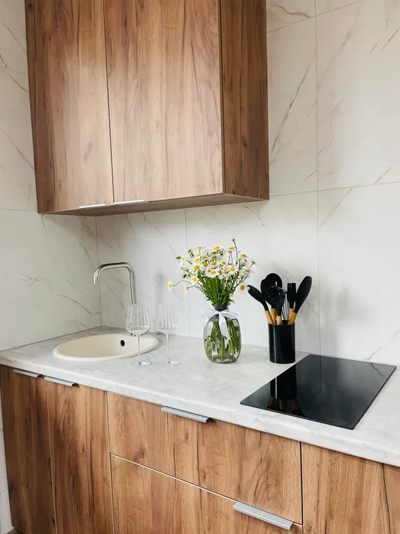 Новые 2х-комнатные эко-апартаменты