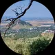 Полина