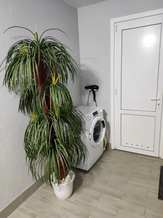 Уютная комната с кухней