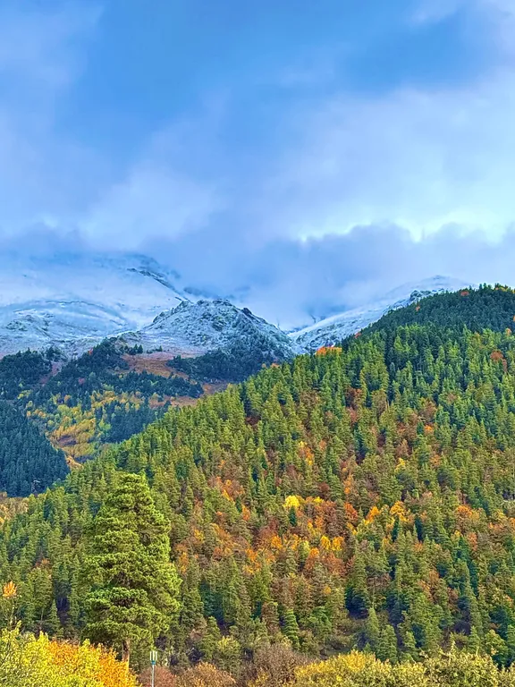 Домик с кухней