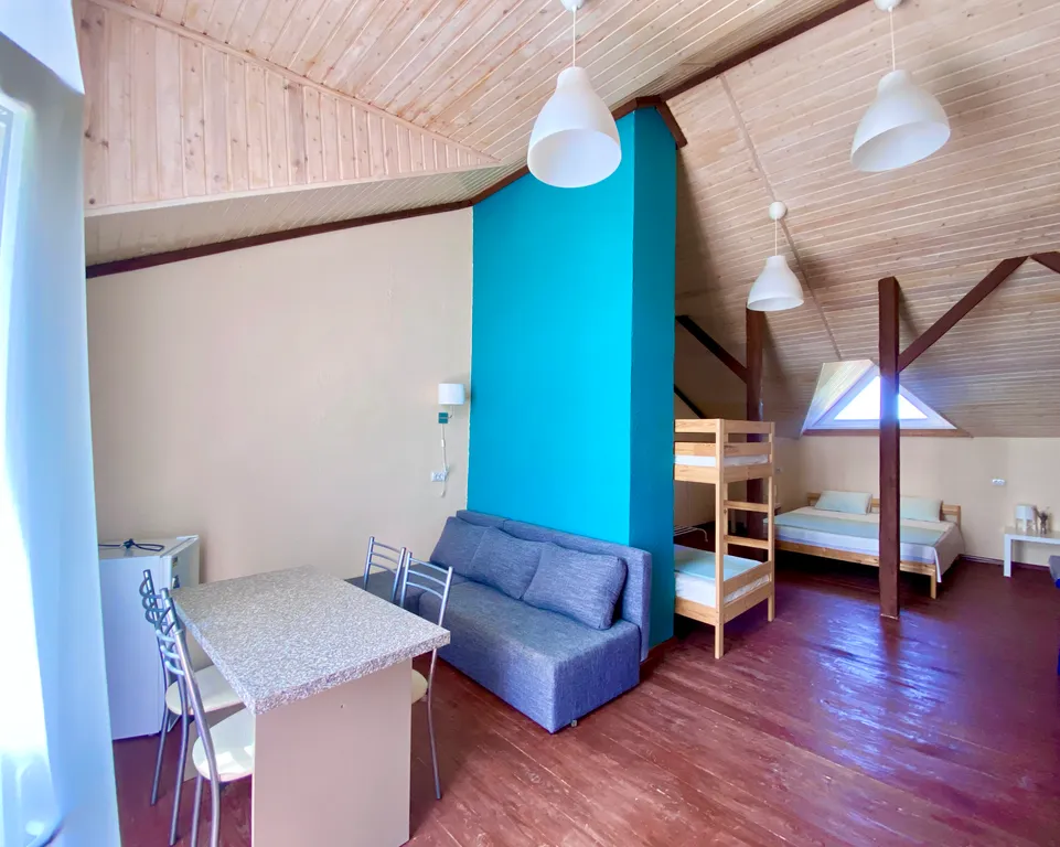 mansard room апартаменты с кухней