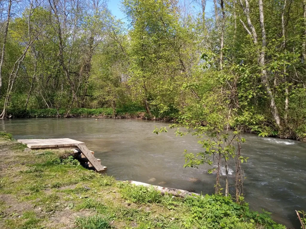 Коттедж Коттедж в предместьях — Ропша
